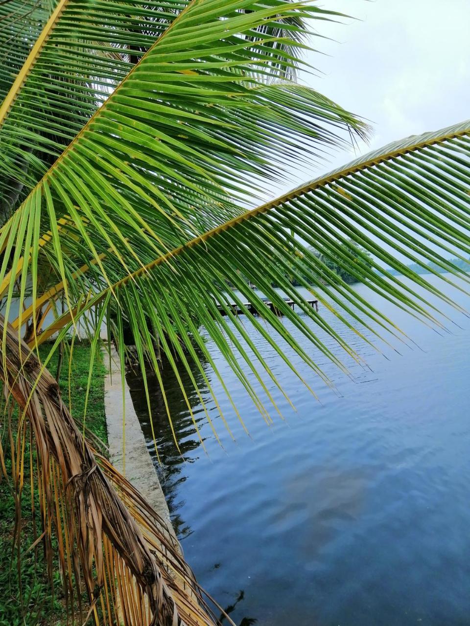Hikka Lagoon Hikkaduwa Bagian luar foto