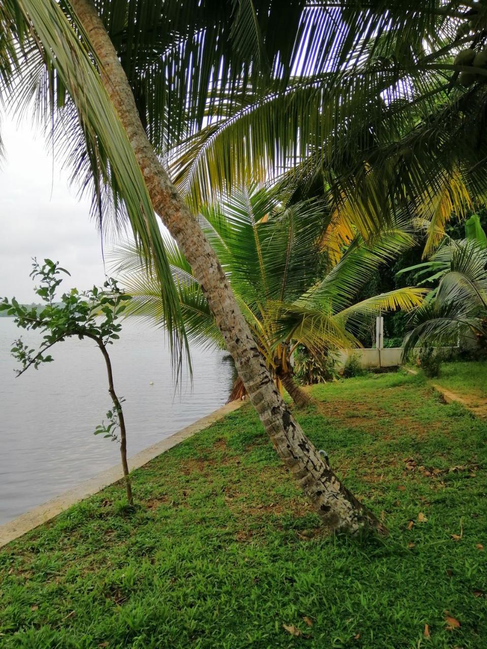 Hikka Lagoon Hikkaduwa Bagian luar foto