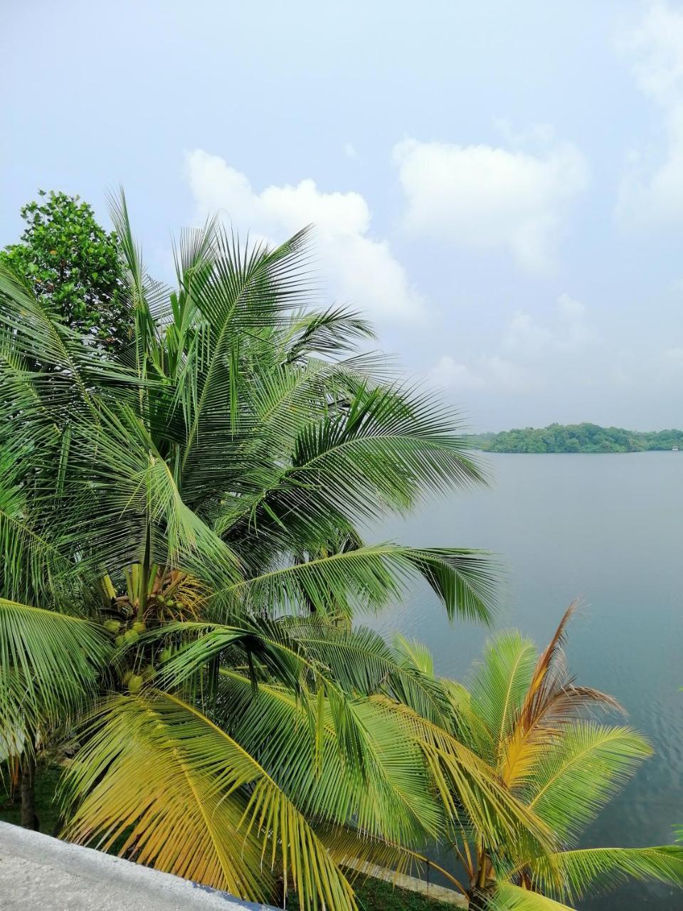 Hikka Lagoon Hikkaduwa Bagian luar foto