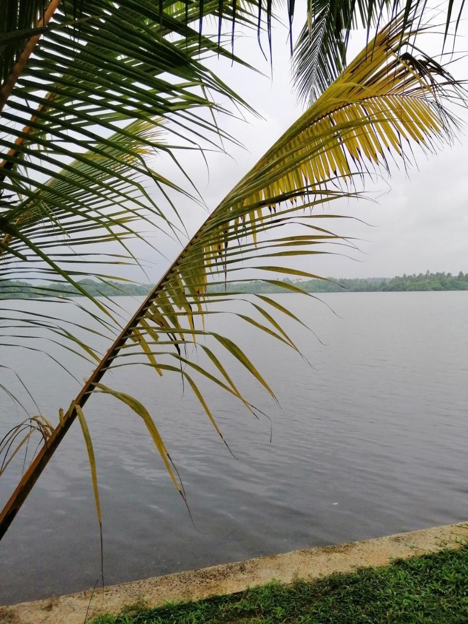 Hikka Lagoon Hikkaduwa Bagian luar foto